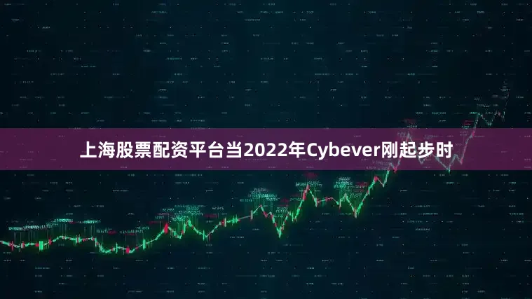 上海股票配资平台当2022年Cybever刚起步时
