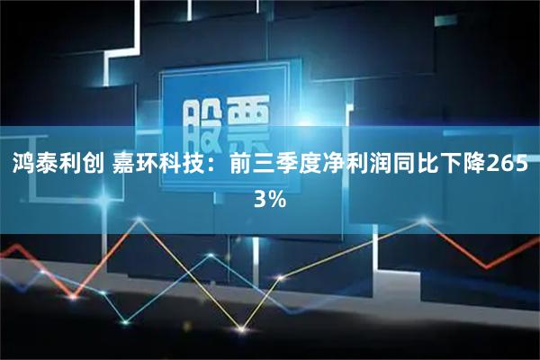 鸿泰利创 嘉环科技：前三季度净利润同比下降2653%