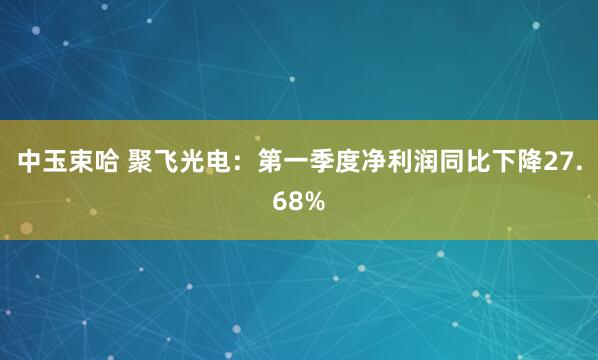 中玉束哈 聚飞光电：第一季度净利润同比下降27.68%