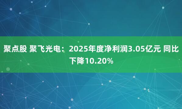 聚点股 聚飞光电：2025年度净利润3.05亿元 同比下降10.20%