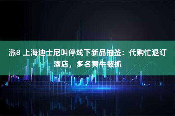 涨8 上海迪士尼叫停线下新品抽签：代购忙退订酒店，多名黄牛被抓