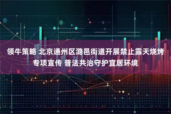 领牛策略 北京通州区潞邑街道开展禁止露天烧烤专项宣传 普法共治守护宜居环境